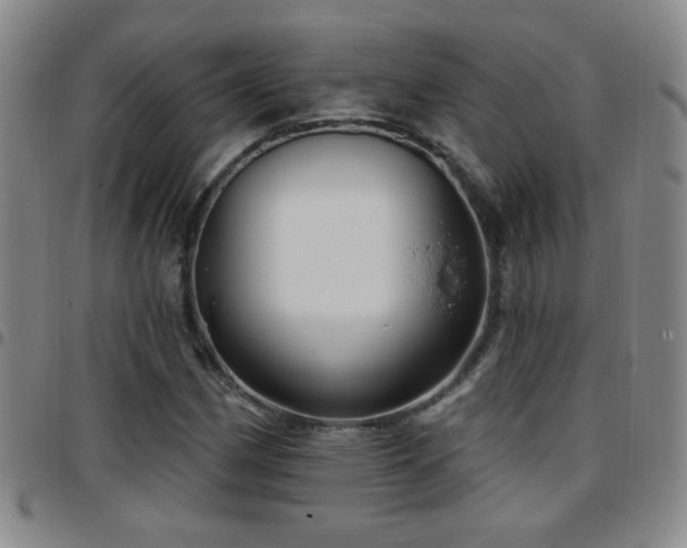 X0000097891162200803141326