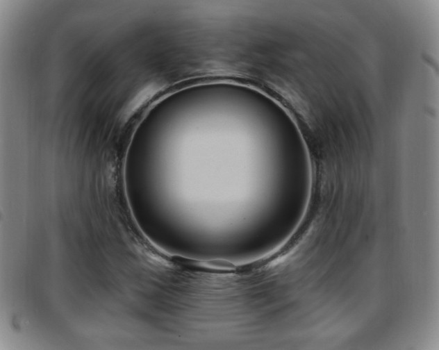 X0000097891163200803141326
