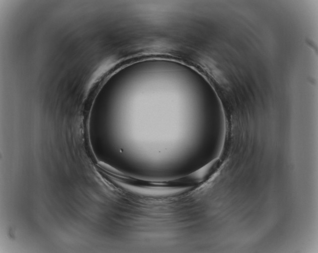 X0000097891164200803141326