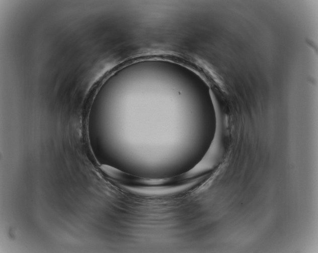 X0000097891165200803141326