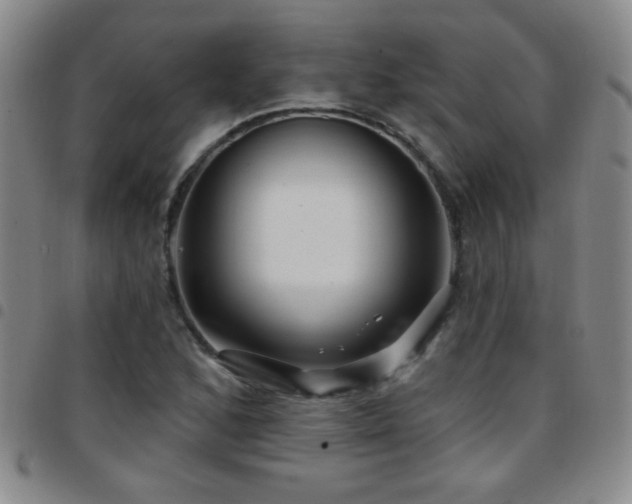 X0000097891168200803141326