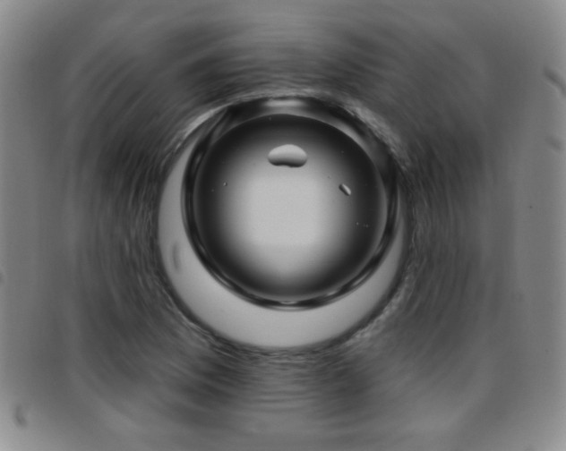 X0000097891169200803141326