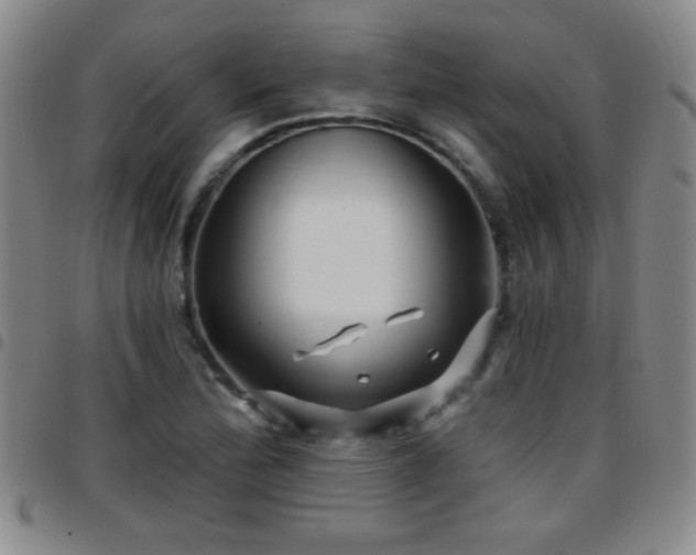 X0000097891172200803141326