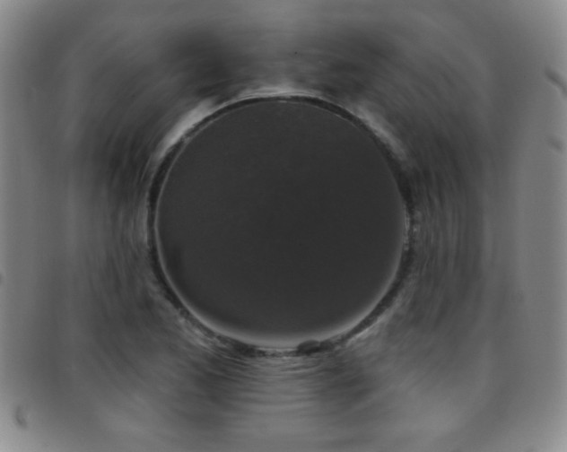 X0000097891173200803141326