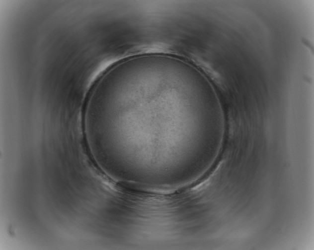 X0000097891174200803141326