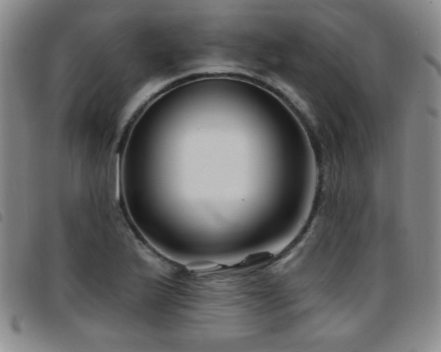 X0000097891175200803141326