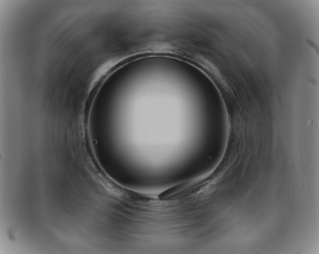 X0000097891176200803141326
