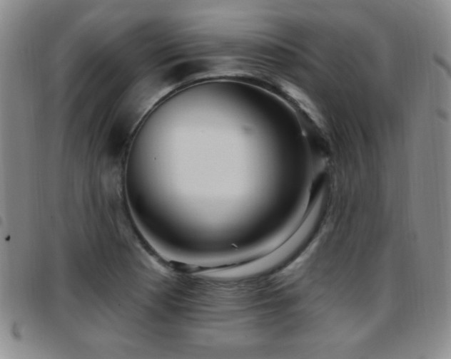 X0000097891177200803141326