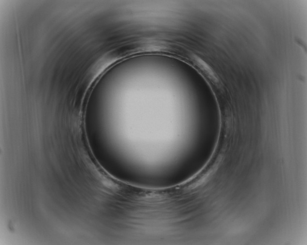 X0000097891178200803141326