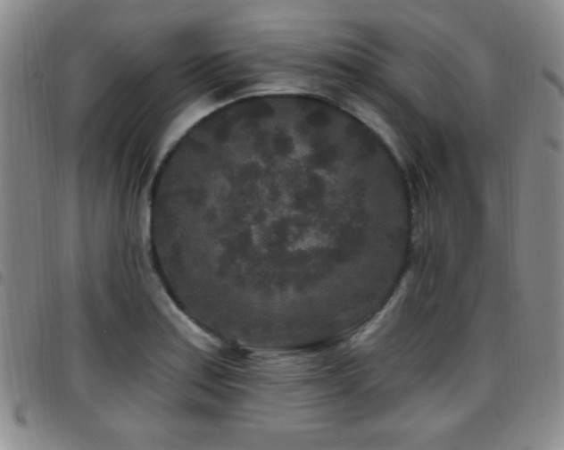 X0000097891179200803141326