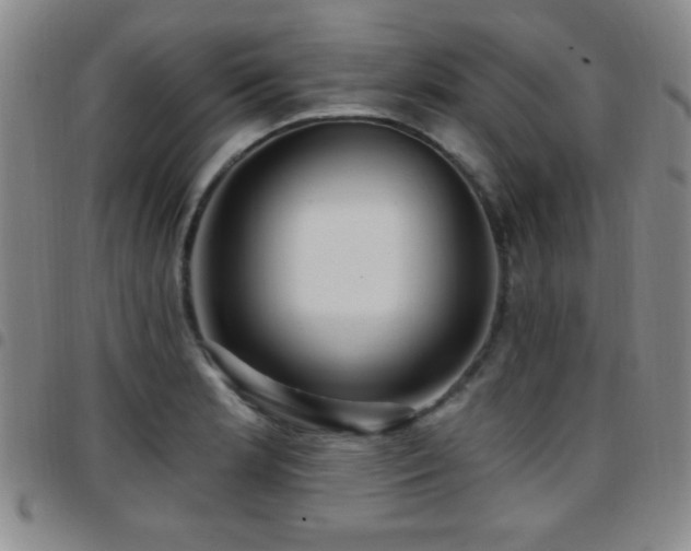 X0000097891181200803141326