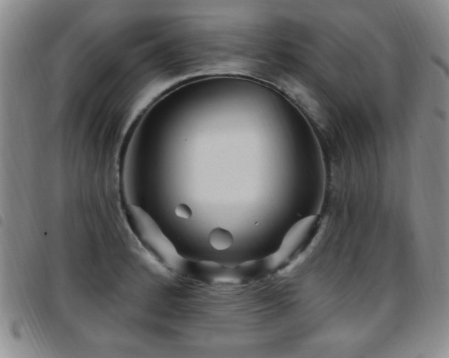 X0000097891184200803141326