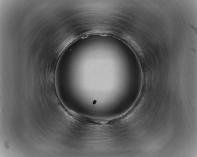 X0000097891185200803141326