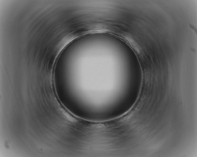 X0000097891186200803141326