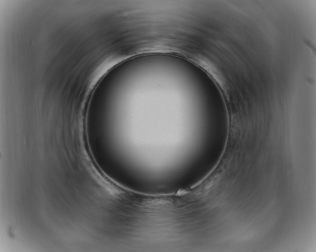 X0000097891187200803141326