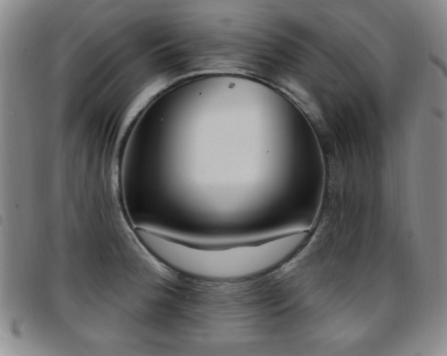 X0000097891188200803141326