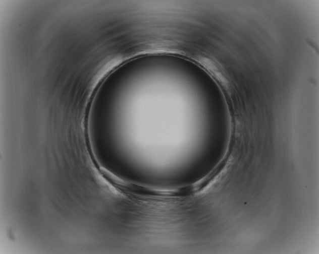 X0000097891189200803141326