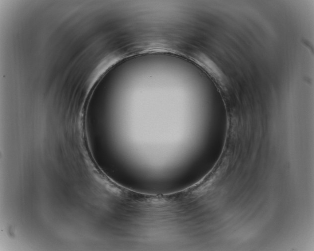 X0000097891190200803141326
