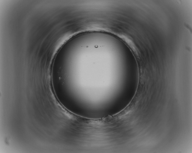 X0000097891191200803141326
