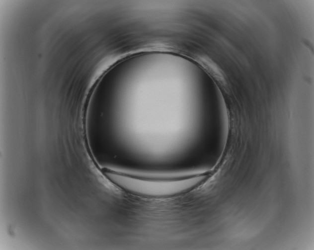 X0000097891192200803141326