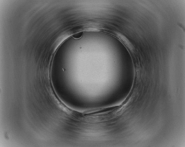 X0000097891194200803141326