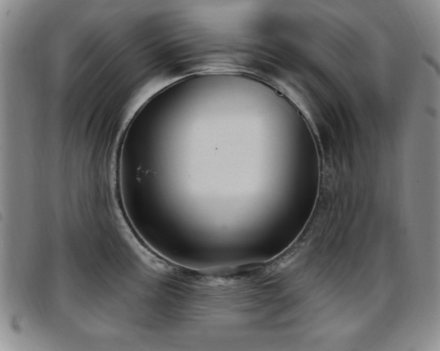 X0000097891195200803141326