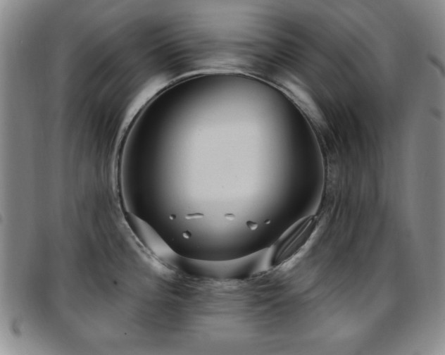 X0000097891196200803141326