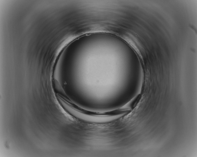 X0000097891197200803141326