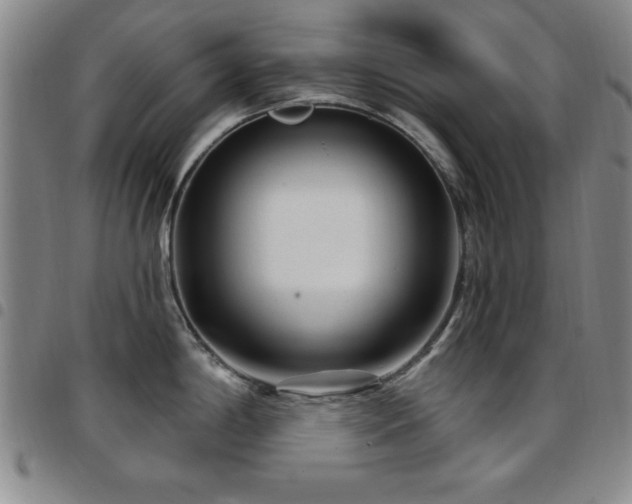 X0000097891198200803141326