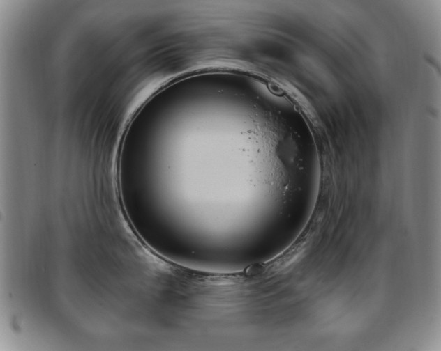 X0000097891199200803141326