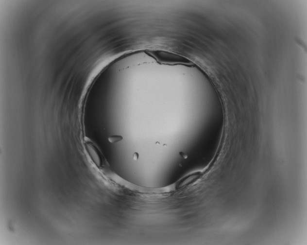 X0000097891200200803141326