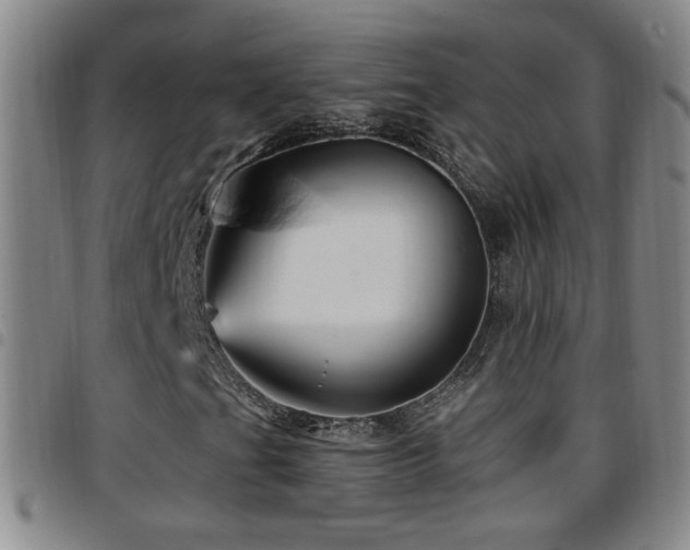 X0000097891201200803141325