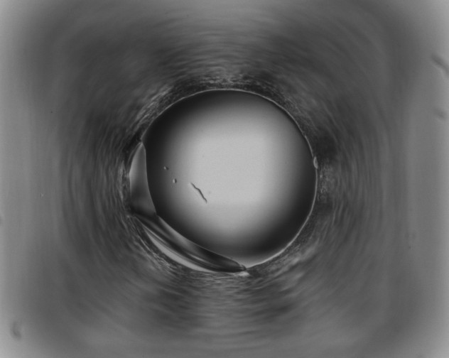 X0000097891202200803141325