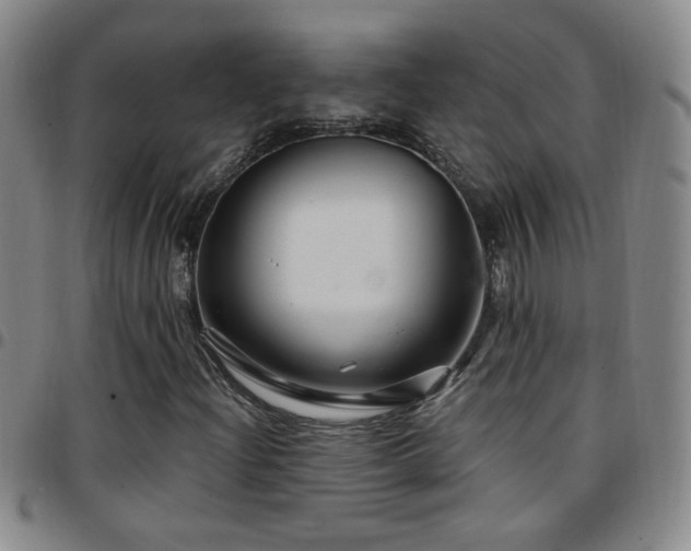 X0000097891204200803141325