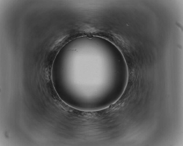 X0000097891205200803141325