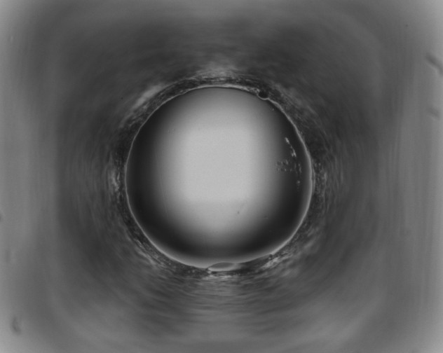 X0000097891206200803141325