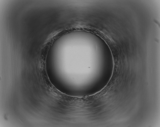 X0000097891207200803141325