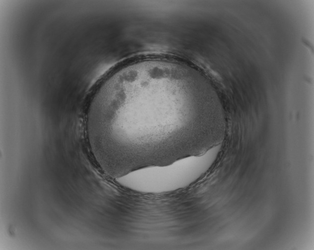 X0000097891208200803141325