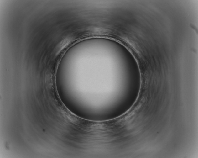 X0000097891211200803141325