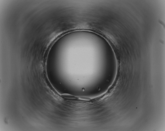 X0000097891212200803141325