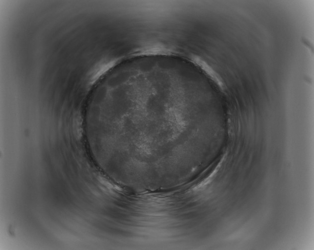 X0000097891213200803141325