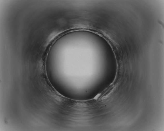 X0000097891215200803141325