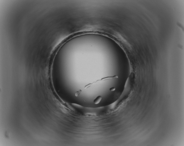 X0000097891216200803141325