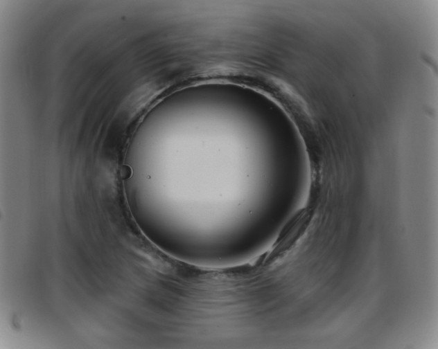 X0000097891217200803141325