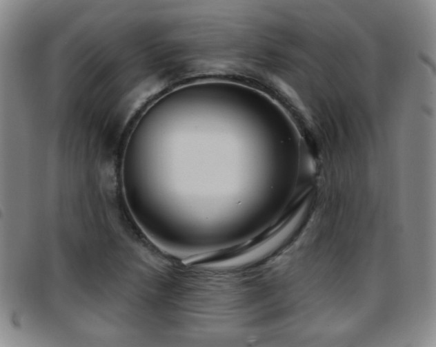 X0000097891218200803141325