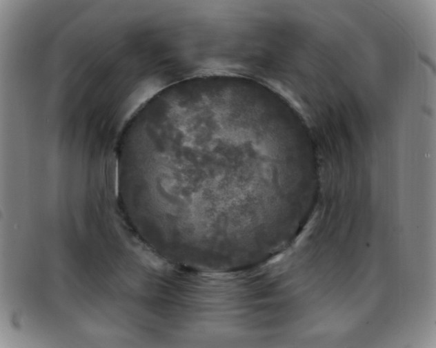 X0000097891219200803141325