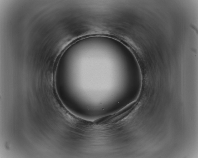 X0000097891220200803141325