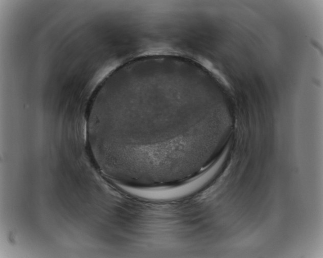 X0000097891221200803141325