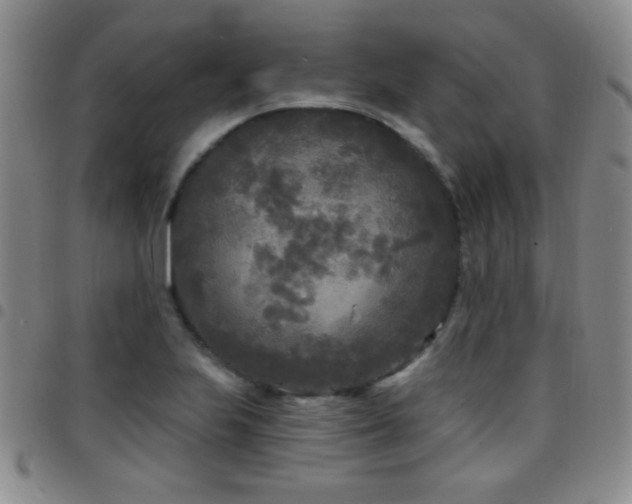 X0000097891223200803141325