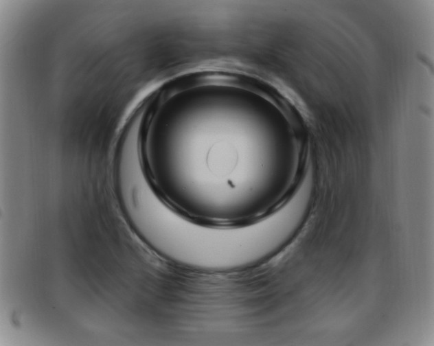 X0000097891224200803141325